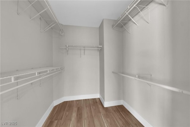 1611 Buffalo Trail Dr, Henderson, NV 89014 - spacious closet featuring wood finished floors