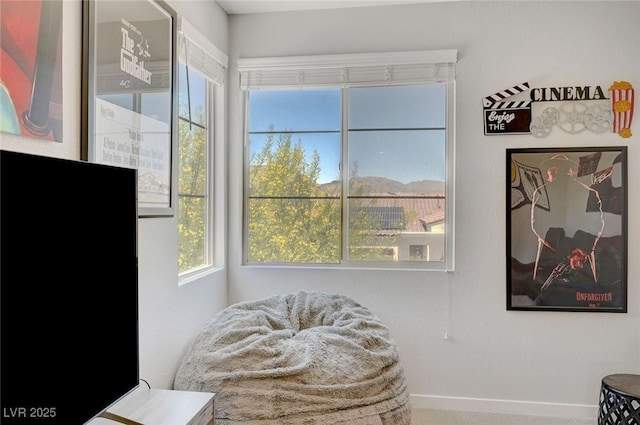 1321 Hudson Creek Pl, North Las Vegas, NV 89084 - sitting room with baseboards
