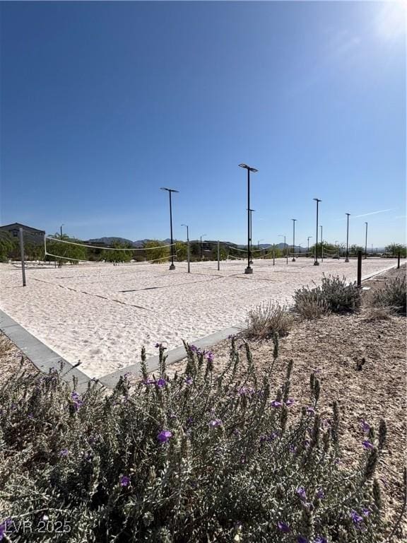 1321 Hudson Creek Pl, North Las Vegas, NV 89084 - view of home's community with volleyball court