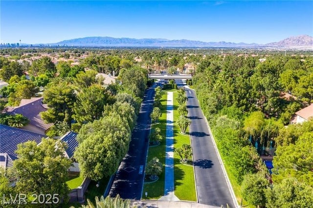 2346 Villandry Ct, Henderson, NV 89074 - drone / aerial view of a mountainous background
