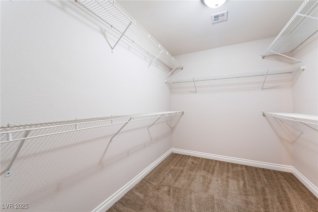5524 La Pelusa St, North Las Vegas, NV 89031 - spacious closet with carpet