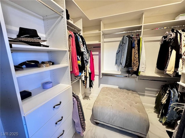 5041 Portraits Pl, Las Vegas, NV 89149 - view of spacious closet