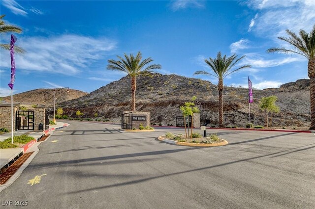 161 Cabo Cruces Dr, Henderson, NV 89011 - photo 59