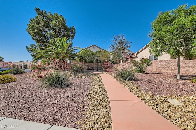 7515 Splashing Rock Dr, Las Vegas, NV 89131 - view of yard
