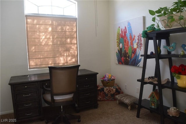 7515 Splashing Rock Dr, Las Vegas, NV 89131 - office with carpet floors