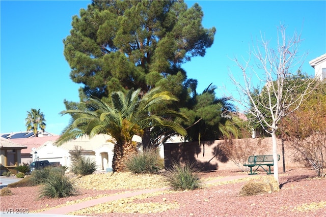 7515 Splashing Rock Dr, Las Vegas, NV 89131 - view of yard