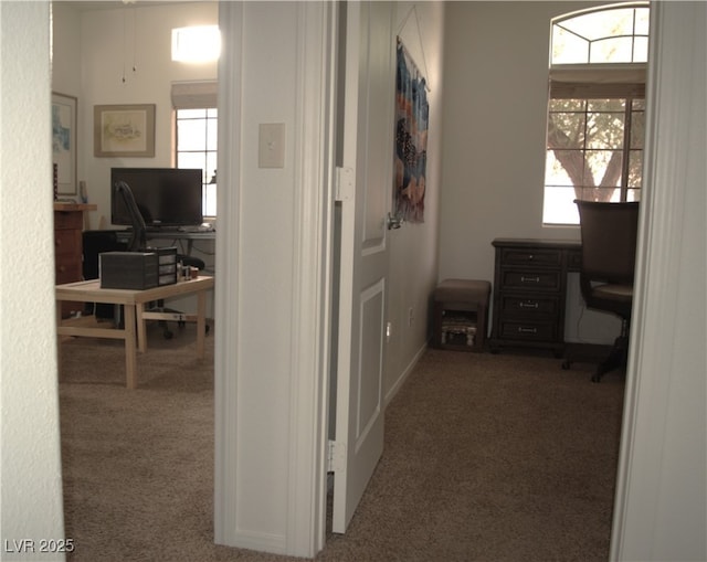 7515 Splashing Rock Dr, Las Vegas, NV 89131 - corridor featuring carpet, an office area, and healthy amount of natural light
