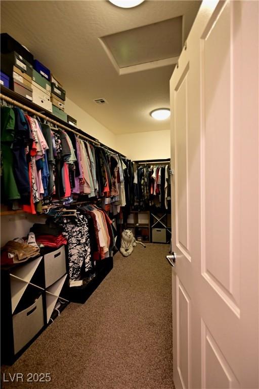 7727 Widewing Dr, North Las Vegas, NV 89084 - spacious closet with attic access and carpet flooring