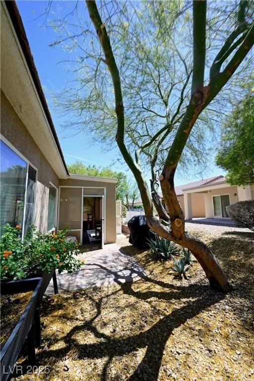 7727 Widewing Dr, North Las Vegas, NV 89084 - view of yard