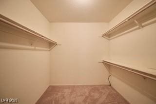 2851 S Valley View Blvd Unit 1199, Las Vegas, NV 89102 - spacious closet with carpet flooring