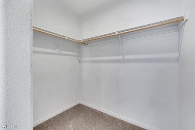 3891 E Weld Ave, Pahrump, NV 89061 - photo 49