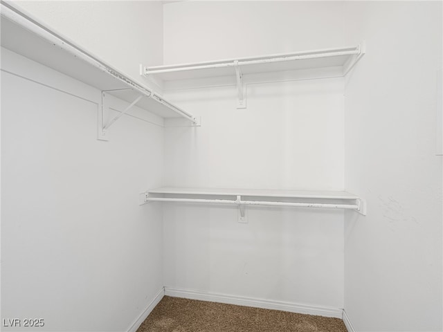 231 W Horizon Ridge Parkway Unit 212, Henderson, NV 89012 - spacious closet with carpet floors