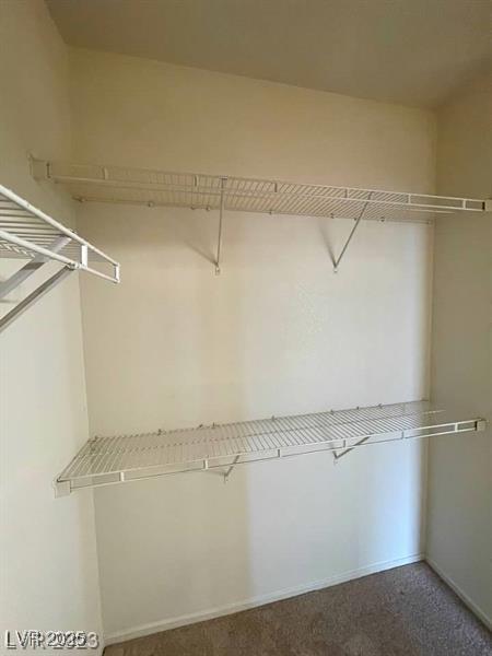 6316 Beige Bluff St Unit 201, North Las Vegas, NV 89081 - spacious closet with carpet flooring