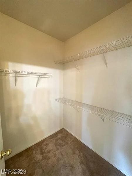 6316 Beige Bluff St Unit 201, North Las Vegas, NV 89081 - walk in closet with dark colored carpet