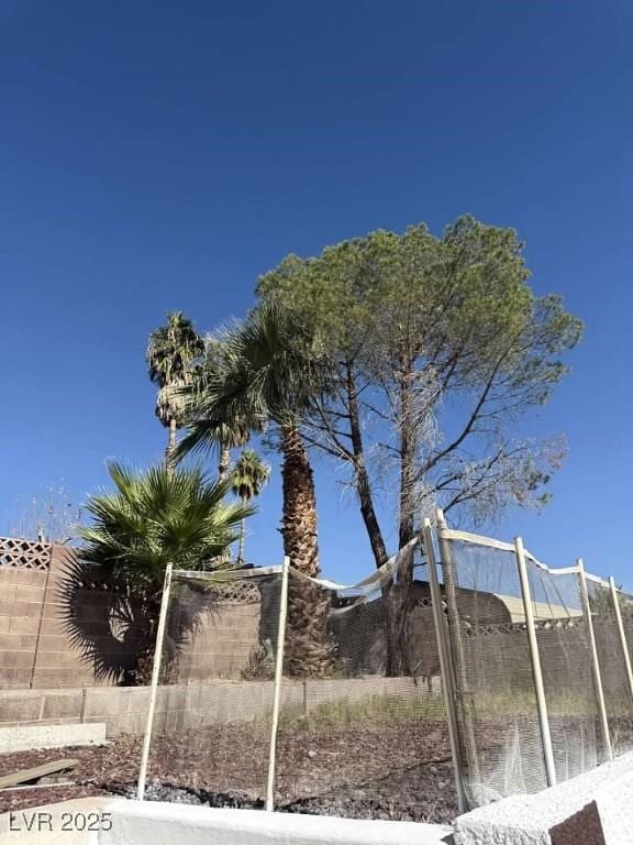 3480 E Hacienda Ave, Las Vegas, NV 89120 - view of yard