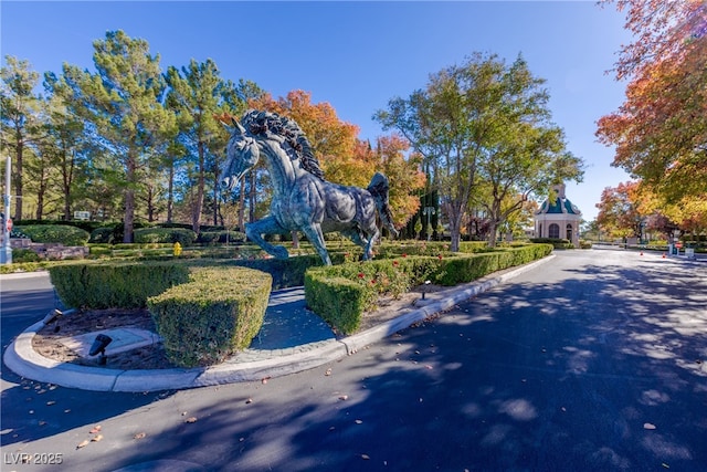 9301 Queen Charlotte Dr, Las Vegas, NV 89145 - view of property's community