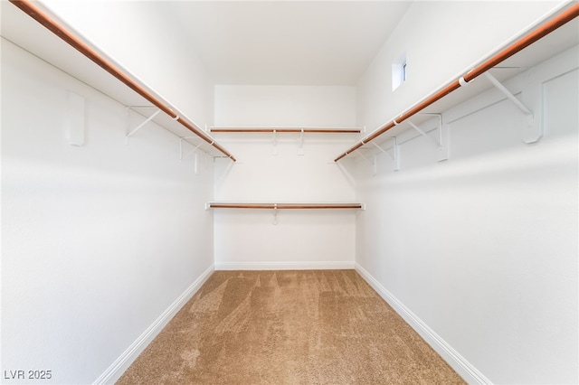 512 Los Dolces St, Las Vegas, NV 89138 - walk in closet featuring light colored carpet