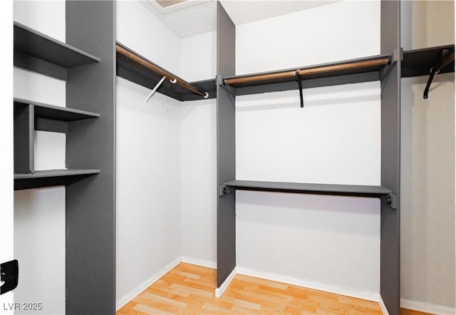4205 Thicket Ave, North Las Vegas, NV 89031 - walk in closet featuring light wood-style floors