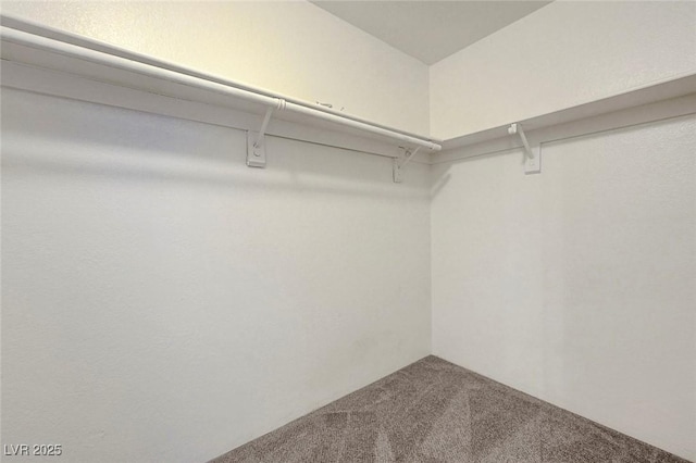 8600 W Charleston Blvd Unit 1128, Las Vegas, NV 89117 - walk in closet with carpet floors