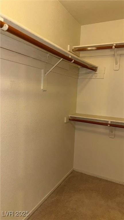 4555 E Sahara Ave Unit 122, Las Vegas, NV 89104 - walk in closet featuring carpet floors