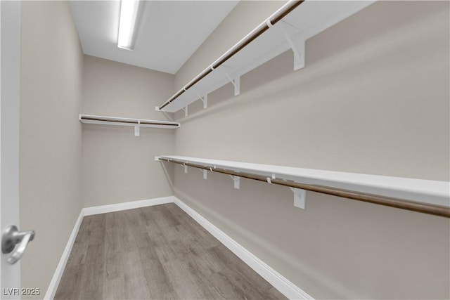 7300 Lavender Rose Ave, Las Vegas, NV 89117 - walk in closet featuring wood finished floors