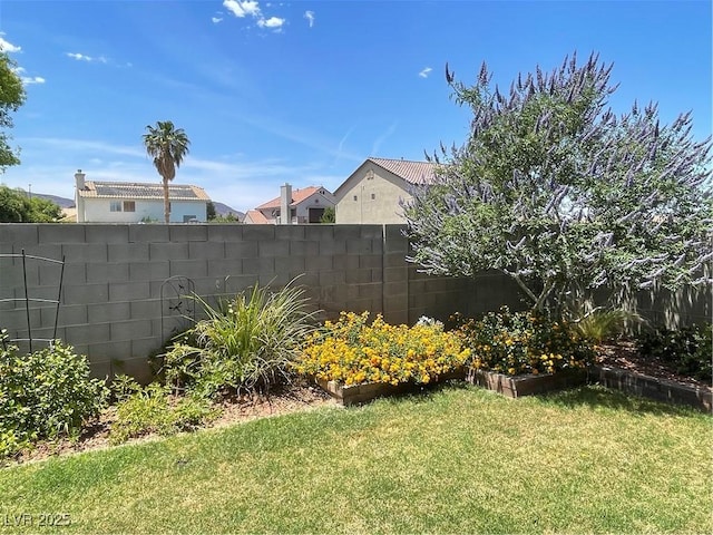 903 Billings St, Henderson, NV 89002 - view of yard