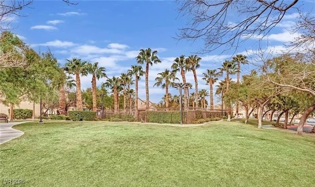 10456 Prairie Schooner Ave, Las Vegas, NV 89129 - view of green lawn