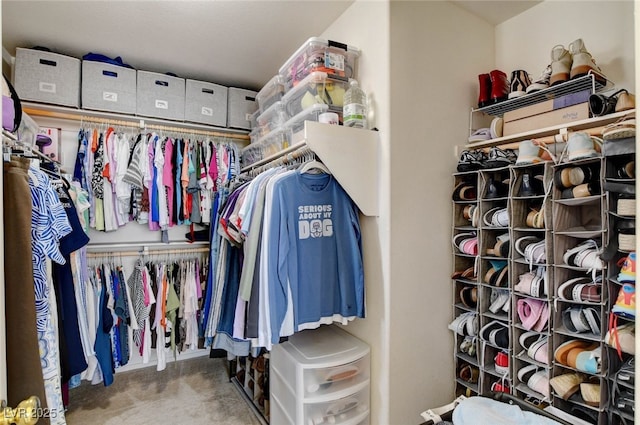 831 E Galingale Ct, Henderson, NV 89015 - spacious closet with carpet floors