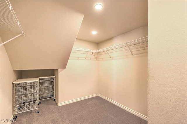 11625 Cabo Del Verde Ave, Las Vegas, NV 89138 - spacious closet with carpet