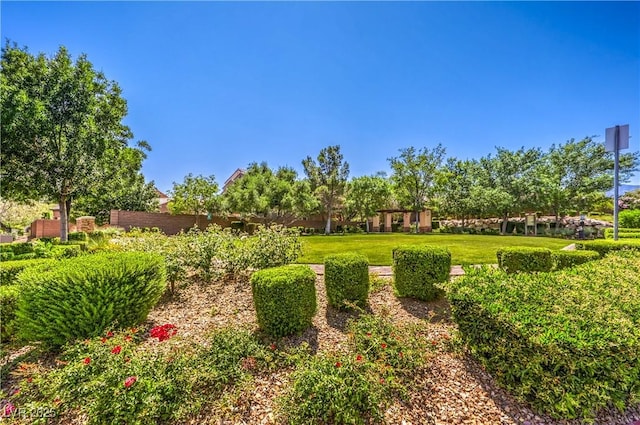 11625 Cabo Del Verde Ave, Las Vegas, NV 89138 - view of green lawn