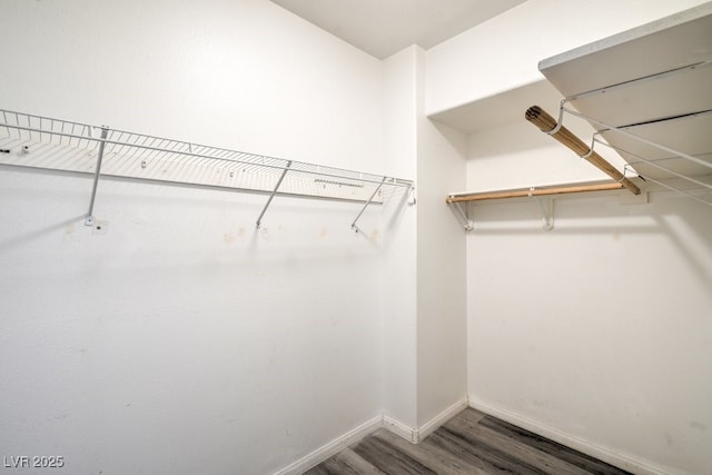 8000 Badura Ave Unit 1168, Las Vegas, NV 89113 - spacious closet with wood finished floors