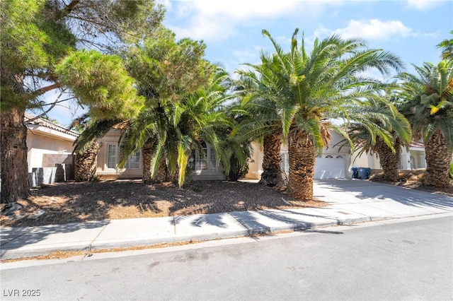3646 Billman Ave, Las Vegas, NV 89121 - photo 2