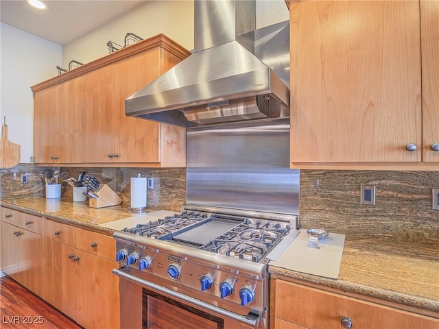 401 Obsidian St, Las Vegas, NV 89145 - kitchen featuring high end stainless steel range oven, wall chimney exhaust hood, tasteful backsplash, and wood finished floors