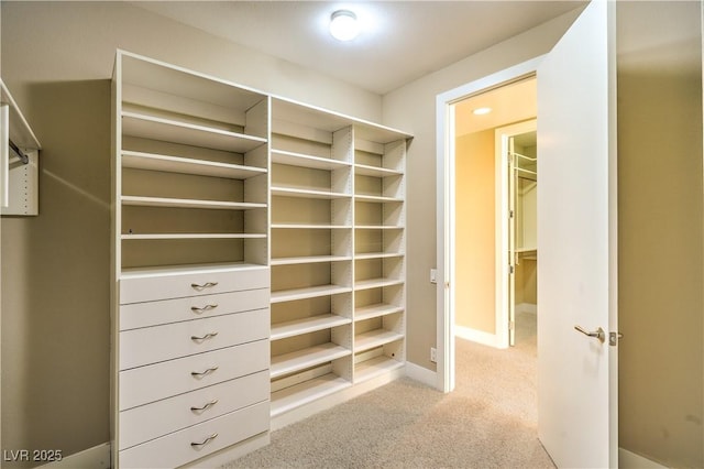 1448 Canyon Ledge Ct, Las Vegas, NV 89117 - spacious closet with carpet floors
