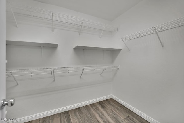 11787 Fern Creek Ln, Las Vegas, NV 89183 - spacious closet featuring wood finished floors