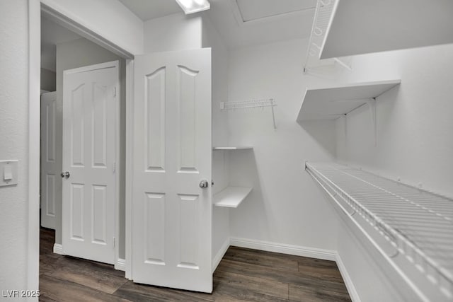 11787 Fern Creek Ln, Las Vegas, NV 89183 - spacious closet with wood finished floors