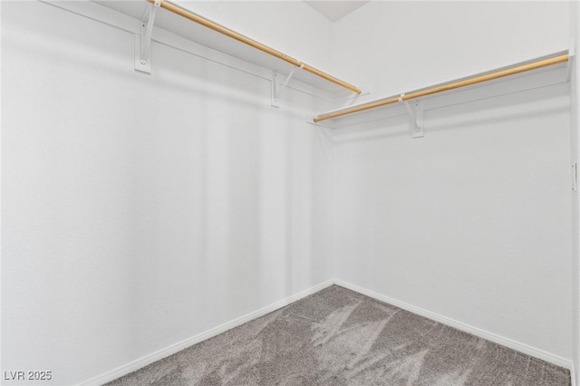 3273 Alcudia Bay Ave, Las Vegas, NV 89141 - spacious closet with carpet flooring