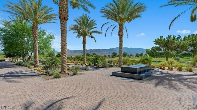 4450 E Brusca Ct, Pahrump, NV 89061 - view of community featuring a mountain view