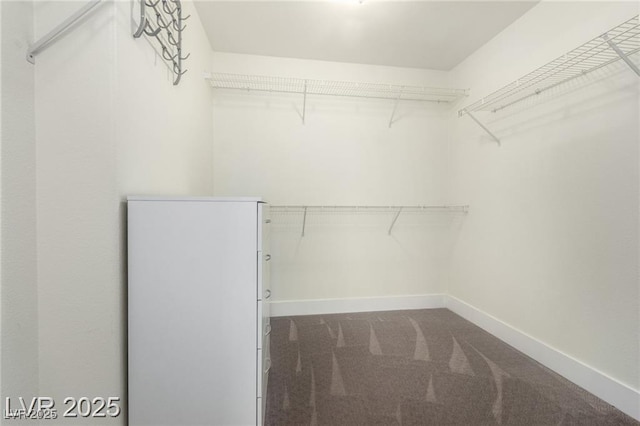 10058 Saint Augustine St, Las Vegas, NV 89183 - walk in closet with carpet flooring