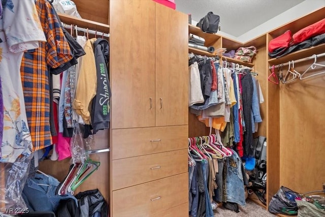 1105 Malachite Ct, Henderson, NV 89011 - view of spacious closet