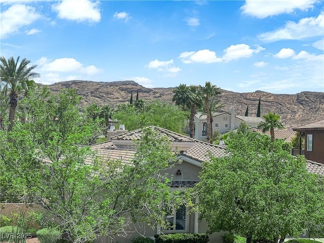 1972 Alcova Ridge Dr, Las Vegas, NV 89135 - view of mountain backdrop