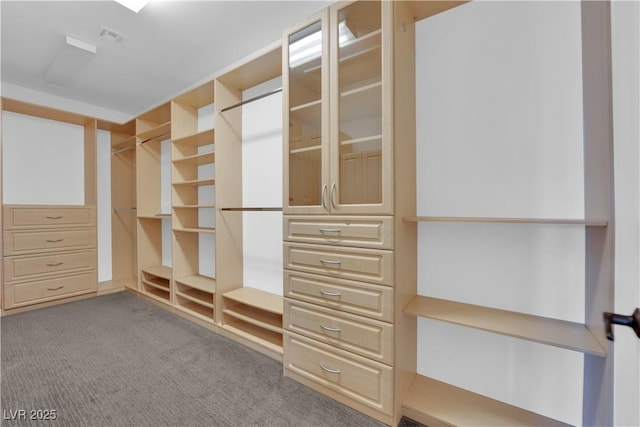 1972 Alcova Ridge Dr, Las Vegas, NV 89135 - spacious closet with carpet floors