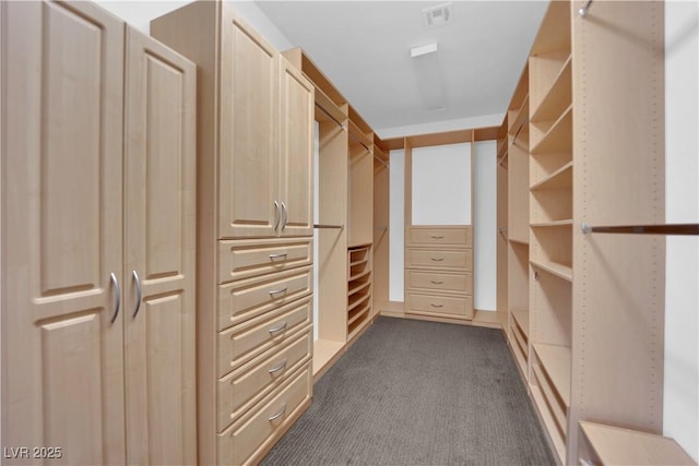 1972 Alcova Ridge Dr, Las Vegas, NV 89135 - spacious closet with dark carpet