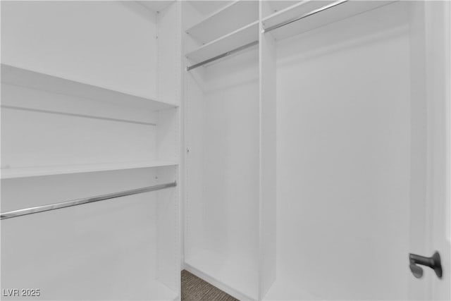 1972 Alcova Ridge Dr, Las Vegas, NV 89135 - view of walk in closet