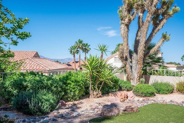 9524 Quail Ridge Dr, Las Vegas, NV 89134 - view of yard