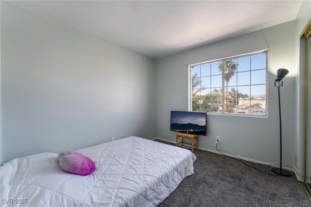 5779 Baffy Cir, Las Vegas, NV 89142 - bedroom with carpet floors and baseboards
