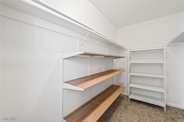 753 Oakmont Ave Unit 802, Las Vegas, NV 89109 - spacious closet with carpet flooring
