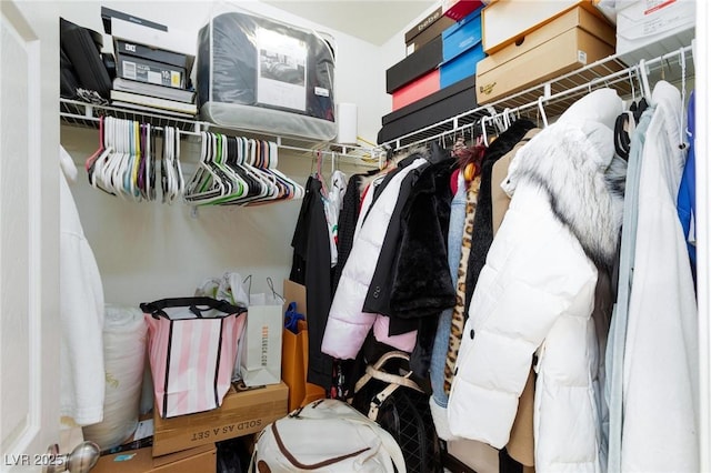9039 Alex Creek Ave, Las Vegas, NV 89149 - view of spacious closet
