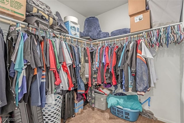 3821 E Summit Ave, Pahrump, NV 89061 - spacious closet featuring carpet