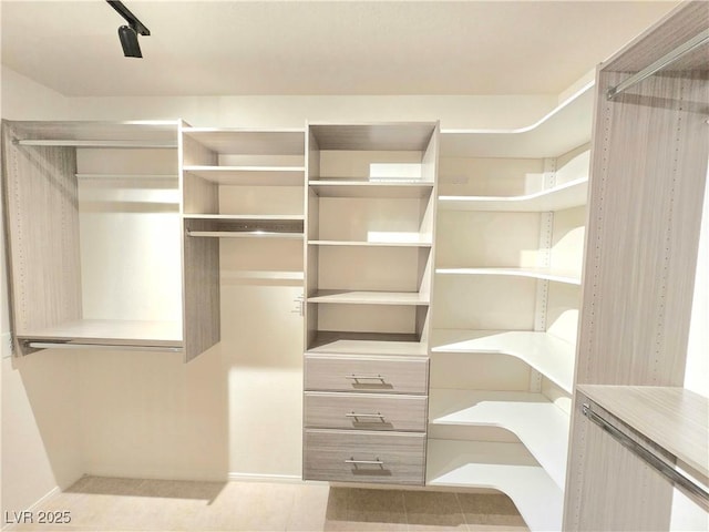 2035 E Warm Springs Rd Unit 1017, Las Vegas, NV 89119 - view of walk in closet